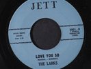 LARKS : love me true / love you so Jett 7