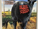 BLINK-182 - Dude Ranch - Rare SRC Translucent Green Vinyl