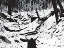 ID72z-DEMONCY-WITHIN THE SYLVAN RE-vinyl lp-New