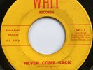 LARRY SEIBERT Never Come Back/You Said RARE MOD SOUL b/w DEEP Whit 45 *hear*