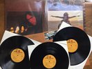 Neil Young Decade