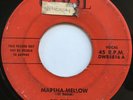 DEL-CHORDS Marsha-Mellow/At The Hop RARE DOO WOP R&B ROCKER 45 *hear*