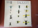 Syd Barrett ?– Barrett FRENCH BIEM 1970 EX
