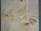 Pale Saints In Ribbons Vinyl
