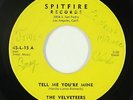 Doo-Wop 45 - Velveteers - Tell Me You're Mine - Spitfire - mp3 - rare OG