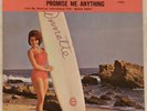 ANNETTE picture sleeve Vista F-427 TREAT HIM NICELY