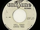 Burning Spear 