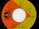 Liberation Group 