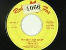Garage 45 - Terry Lee - Hey Baby, Hey Sugar - Red Fox - mp3