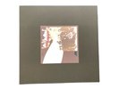 led zeppelin vinyl box Made In Japan Super Deluxe Edition