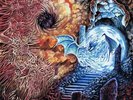Gatecreeper - An Unexpected Reality  LP #139889
