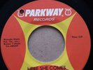 Northern Soul Original Classic  THE TYMES  