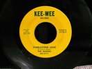 RARE '69 CAROLINA GARAGE SOUL 45 THE MAKERS EVERLASTING LOVE  KEE-WEE HEAR BOTH