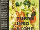 STONE ROSES: turns into stone MODERN CLASSICS 12