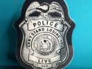 THE POLICE Roxanne / Can't Stand Losing You Badge Shaped Vinyl Picture Disc