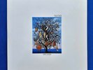 Talk Talk Spirit of Eden Original LP
