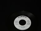 MAGIC NIGHT IF YOU AND I HAD NEVER MET 1974 ROULETTE DJ COPY EX/VG+