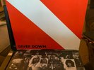 VAN HALEN Diver Down ORIGINAL PRESSING w/EX VINYL