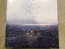 Shawn Mendes - LIMITED EDITION Wonder Vinyl - Blue Color W/ Limited Poster