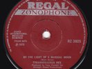 Marc Bolan T.Rex Tyrannosaurus Rex By The Light Of A Magical Moon 7