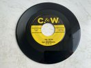 Rare Rockabilly '45 The Runabouts 