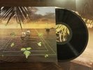 Sun Araw - Beach Head LP 12