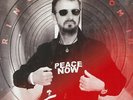Ringo Starr - Zoom In (LP) - Vinyl Pop/Diverse