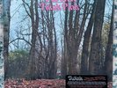 Twink - Think Pink 50th Anniversary Edition Vinyl Record LP Psych FREE SHIPPING