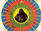 KRISHNANDA - SANTOS PEDRO