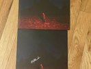 Phoebe Bridgers Punisher Vinyl LP + Signed 12x12 Print