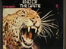 PETER GREEN: the end of the game REPRISE 12