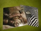 Kin Ping Meh 2 Krautrock Original German Lp 1st.Press Zebra 1972