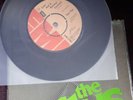 The Flys Love and a Molotov Cocktail - Punk Rock - Clash - Damned - Sex Pistols