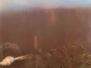Light of Darkness-same UK German prog psych lp reissue brand new Long Hair