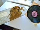 JETHRO TULL: Stand Up - original 1969 pink-black-block i label 12