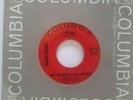 45 RPM ROCK PSYCHE SAGITTARIUS, MY WORLD FELL DOWN / LIBRA