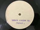 THE PROPHETS  / KING PHORAH PLAGUE ON  & CHANT DOWN BABYLON ROOTS REGGAE 12 KILL