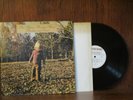 THE ALLMAN BROTHERS BAND Brothers & Sisters LP EX 1973 Capricorn