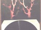 SOL INVICTUS Trees in winter-LP-(Wakeford/Death in June/Current 93)-dark neofolk