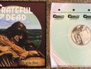 Grateful Dead - Wake of the Flood LP from Vinyl Me Please Box Set Brand Unplayed