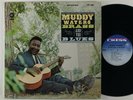Muddy Waters 