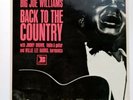 Big Joe Williams - Back To The Country - 1966 Country Blues - UK Bounty BY 6018