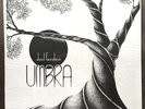 Joel Fairstein Umbra LP Thunderhead Records RARE PRIVATE PRESS JAZZ FUNK