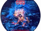 IN FLAMES Subterranean LTD LP PICTURE DISC NM 1999 children of bodom amon amarth