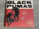 SIGNED Black Pumas Deluxe Edition Gold & Black Red Splatter Vinyl 2xLP + 7