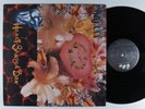 NIRVANA Heart-Shaped Box GEFFEN 12