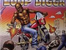 MADLIB - Medicine Show No 5: History Of The Loop Digga 1990-2000 - Vinyl (2xLP)