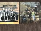 The Beautiful South Vinyl Bundle: Choke And Carry On Up The Charts The Best Of