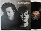 TEARS FOR FEARS Songs From The Big Chair MERCURY LP shout head over heals everyb