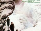 LP Echo & The Bunnymen Porcupine SIGNED BY BRIAN GRIFFIN NEAR MINT Korova